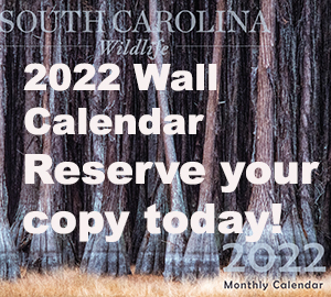 2022 SCW Calendar - Reserve your copy today